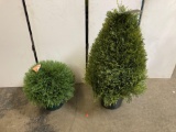 (2) Faux Decorative Bushes