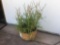 Outdoor Potted Plant***VERY HEAVY***