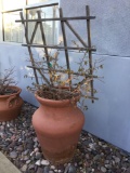 Outdoor Potted Plant***VERY HEAVY***