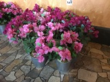 Lot of (10) Decorative Faux Flowers In Pots