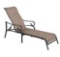 Hampton Bay Crestridge Steel Padded Sling Outdoor Patio Chaise Lounge in Putty Taupe (2-Pack)