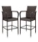 Winado Brown Wicker Outdoor Bar Stool (2-Pack)