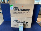 (2) Cases of E2 Lighting LED Lamp Light