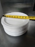 (15) Nustone Melamine Plates wide Rim approx. 10in dia.