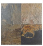 (3) Cases of Premium Stones Desert Trail Textured Slate Wall and Floor Tile