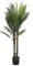 60 in. UV Resistant Plastic Big Robellini Palm Tree