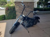 1999 Titan Roadrunner Custom Motorcycle*RUNS*SEE VIDEO*BATTERY DEAD*
