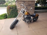 2001 Thunder Mountain Custom Motorcycle