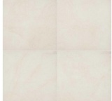 (32) Cases of MSI Living Style Cream Matte Porcelain Paver Floor Tile