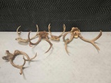 Lot of Assorted Antlers