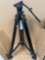 Magnus Rex Two-Stage Video Tripod with Fluid Head