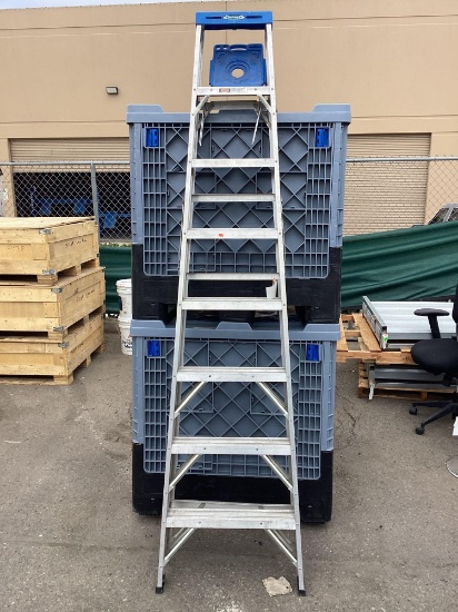 Aluminum Werner Ladder