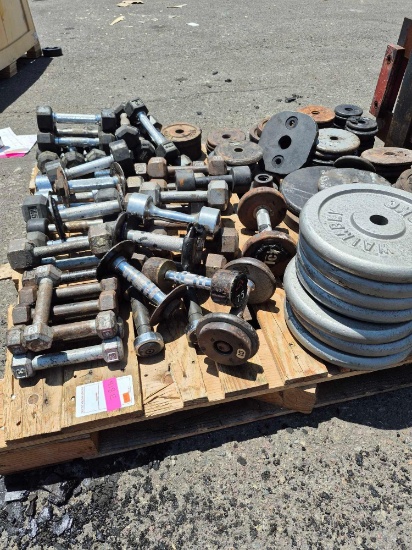Lot of Hex and Deep Dish Bar Weights