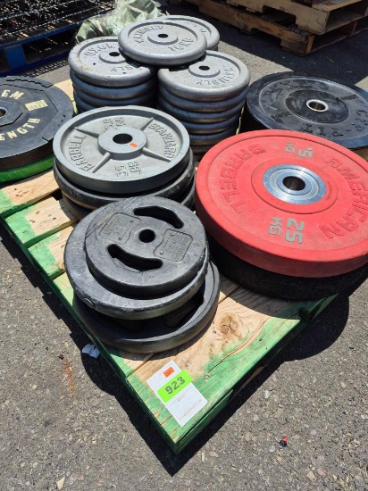 Lot of Used Deep Dish Weights