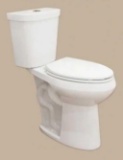 HOROW 1.1/1.6 GPF Dual Flush Elongated 21 in. Heightened Toilet 2-Piece