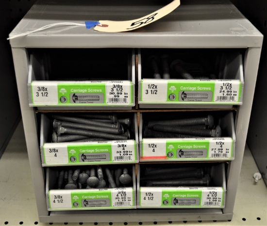 Organizer Bin & Various Sizes of Carriage Bolts