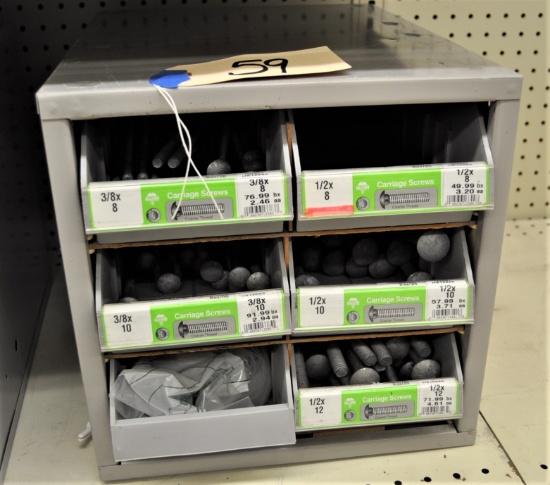Organizer Bin & Various Sizes of Carriage Bolts