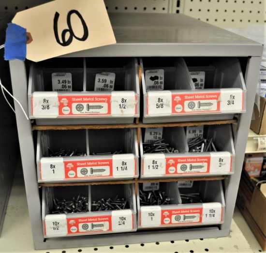 Organizer Bin & Various Sizes of Metal Screws