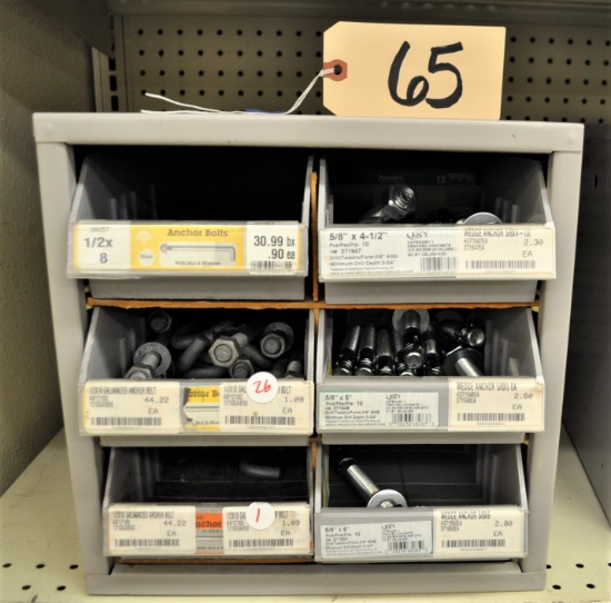 Organizer Bin & Various Sizes of Anchor Bolts & Wedge Anchors
