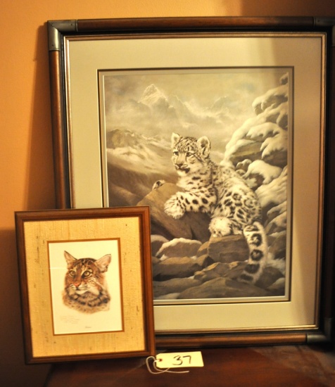 Bobcat & Leopard Prints by Charles Frace