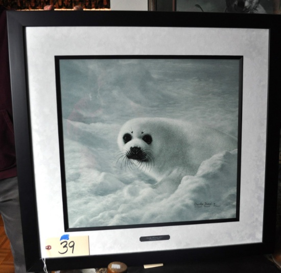 Baby Harp Seal Print by Charles Frace - 381/2000 - 28"x29"