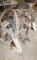 Saddle with Stand & Lasso