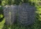 4 Rolls of Wire Fence - 3 ft tall