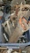 Assortment of Hand Saws