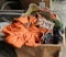 Assortment of Mosquito Head Nets & Camo Jacket & Vest