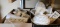 Assortment of Milk Glass