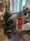2 Christmas Trees & Christmas tree stand