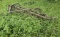 John Deere 350A Hay Rake