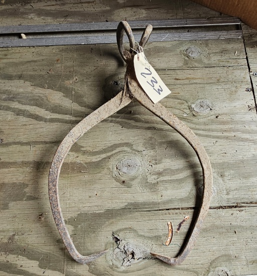 Ice Tongs