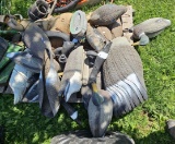 Assortment of Duck & Goose Decoys