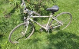 Trek Multi-Track 700 Bike