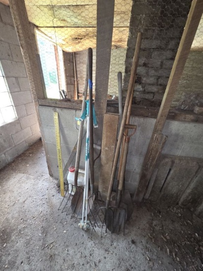 Outdoor Hand Tools in Shed - Forks & Shovels & More