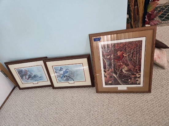 3 Bird Prints- 2 Cardinal and 1 Blue Jay