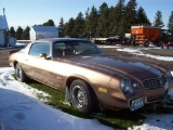 1979 Chevrolet Camaro Berlinetta