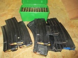 Mini 14 Magazines - Some Ruger and USA some loaded, plus Ammo -> Will not be Shipped! <- con 316