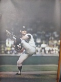 Baseball Poster - con 316