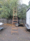 10' Wooden Ladder 250lb Rating -> Will not be Shipped! <- con 9
