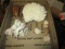 Lot of Coral and Small Shells -Item Will Not Be Shipped- con 454