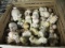 20 pcs - Precious Moments Figurines -> Will not be Shipped! <- con 509