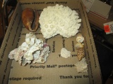Lot of Coral and Small Shells -Item Will Not Be Shipped- con 454