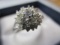 Sterling Silver Ring with Zircon - Size 9 - con 583
