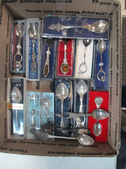 16 Collector Spoons - con 3