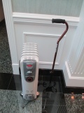 Electric Heater and Cane