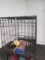 Dog Kennel - 24x17x19 - New Toy, Leash and More - Will not be shipped - con 687