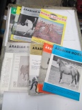 10 Arabian Horse Magazines - 60's - con 420