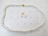 8mm White Shell Necklace and Earrings - con 346